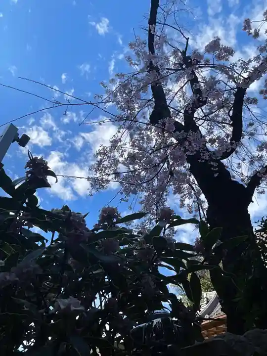 日蓮宗瑞光山久遠寺(愛知県)