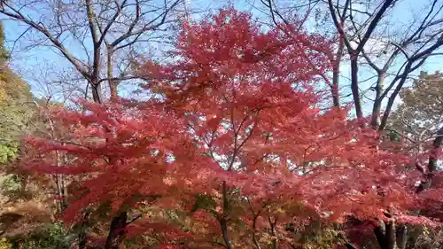 日龍峯寺(高澤観音)(美濃清水)(岐阜県)
