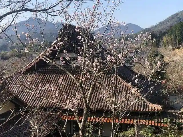 木舟山 順教寺(広島県)
