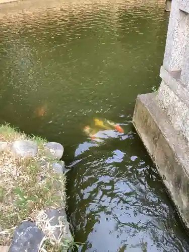 白山神社の庭園