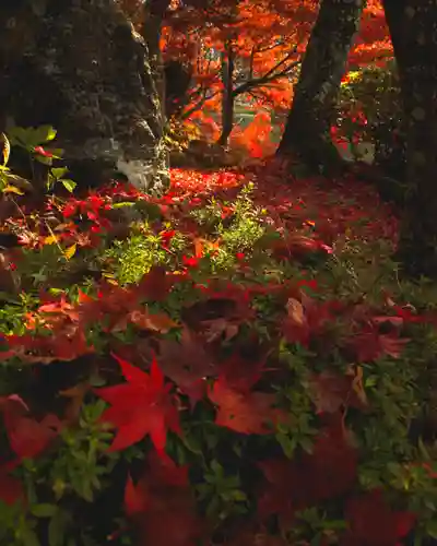 石道寺(滋賀県)