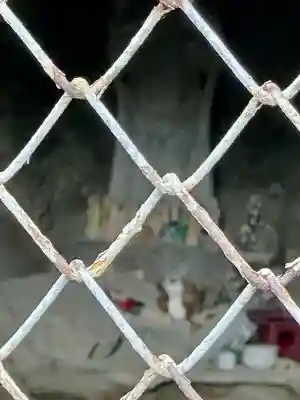 岩窟不動尊(神奈川県)