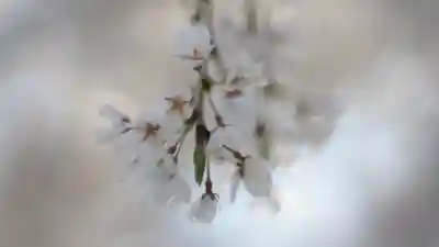 足羽神社(福井県)