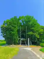 神明社(三丸渕上屋敷)のその他建物