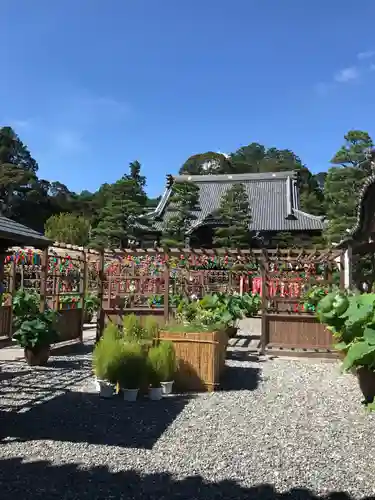 秋葉總本殿可睡斎の庭園