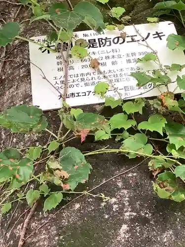 熱田神社の自然