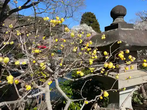 長谷寺(神奈川県)