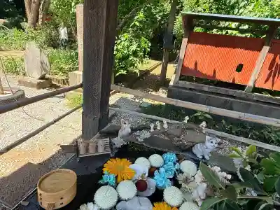前玉神社の{uncategorized: "未分類", other: "その他", undefined: "問題あり", building: "その他建物", grave: "お墓", sacred_gate: "鳥居", guardian: "狛犬", statue: "像", buddha: "仏像", history: "歴史", nature: "自然", garden: "庭園", animal: "動物", pagoda: "塔", temizu: "手水舎", mountain_gate: "山門・神門", sanctuary: "本殿・本堂", subordinate: "末社・摂社", art: "芸術", scenery: "景色", jizo: "地蔵", ema: "絵馬", goshuin: "御朱印", omikuji: "おみくじ", items: "授与品その他", amulet: "お守り", goshuincho: "御朱印帳", eats: "食事", festival: "お祭り", votive_dance: "神楽", shichigosan: "七五三参", wedding: "結婚式", experience: "体験その他", initially: "初詣", around: "周辺", anti_infection: "感染症対策"}