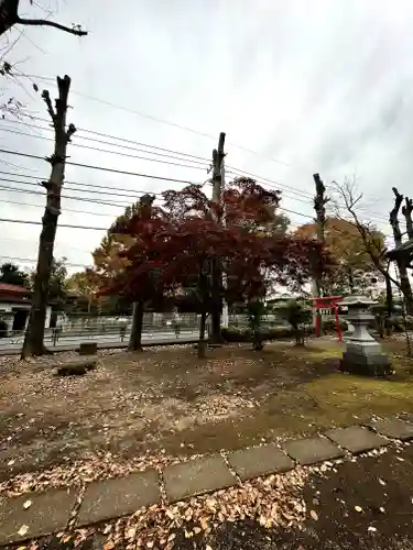 日枝神社(東京都)