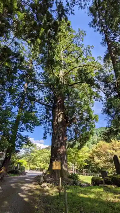 明建神社(岐阜県)