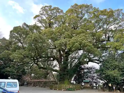 高良大社(福岡県)
