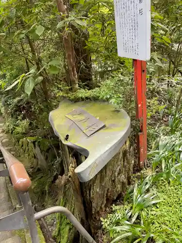 箱根神社の自然