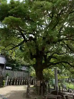 橿森神社(岐阜県)