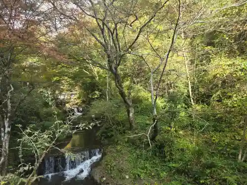 貴船神社結社(京都府)