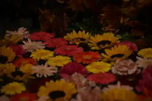 金蛇水神社(宮城県)