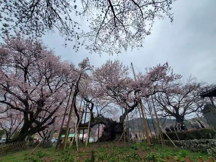 実相寺(山梨県)