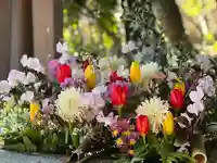 富知六所浅間神社の手水舎