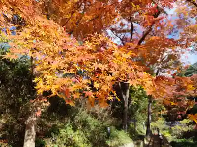 根来寺(和歌山県)