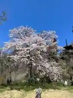 国宝 大法寺の自然