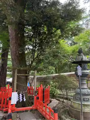 大前神社(栃木県)