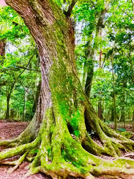 鹿島神宮の自然