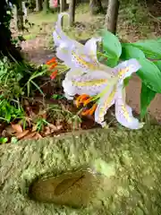 滑川神社 - 仕事と子どもの守り神の自然