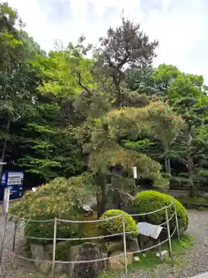 大興寺(香川県)
