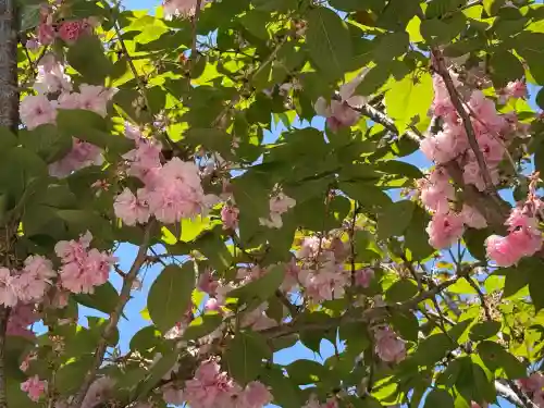 常陸第三宮　吉田神社(茨城県)