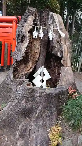 常磐神社の自然