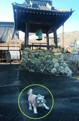 宝林寺(山梨県)