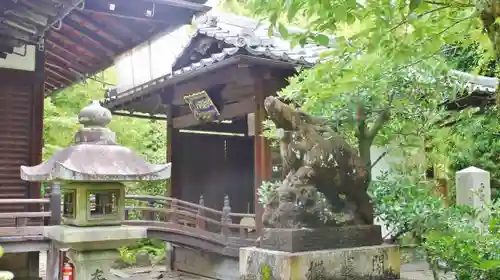 本法寺の狛犬