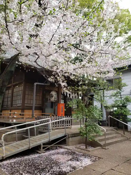 神明氷川神社の本殿・本堂