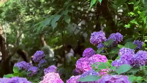 長谷寺(神奈川県)