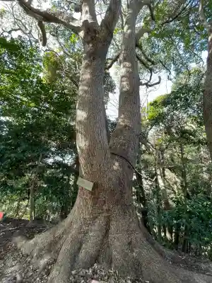 浅間神社(神奈川県)