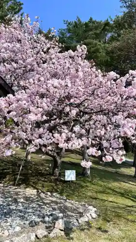 石崎地主海神社(北海道)