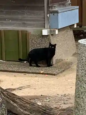 生田神社(兵庫県)