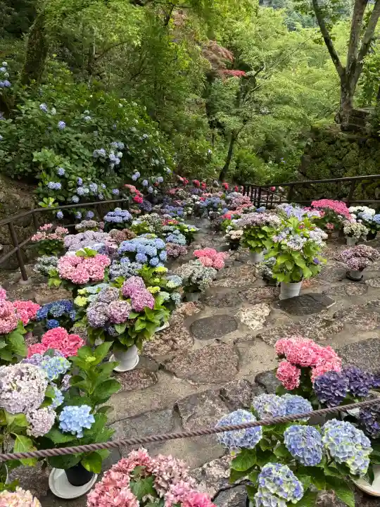 長谷寺(奈良県)