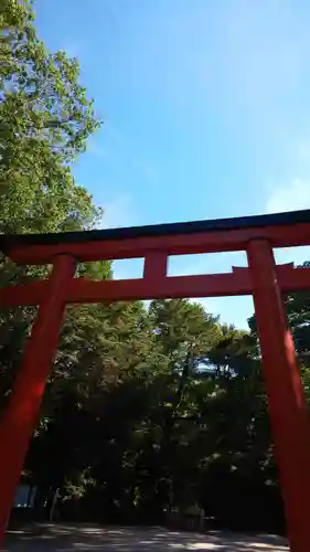 賀茂御祖神社（下鴨神社）の鳥居