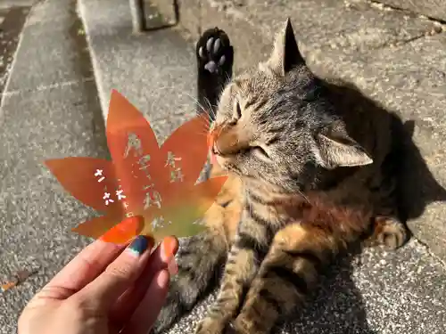 唐澤山神社(栃木県)