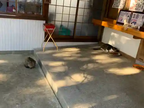 玉野御嶽神社の動物