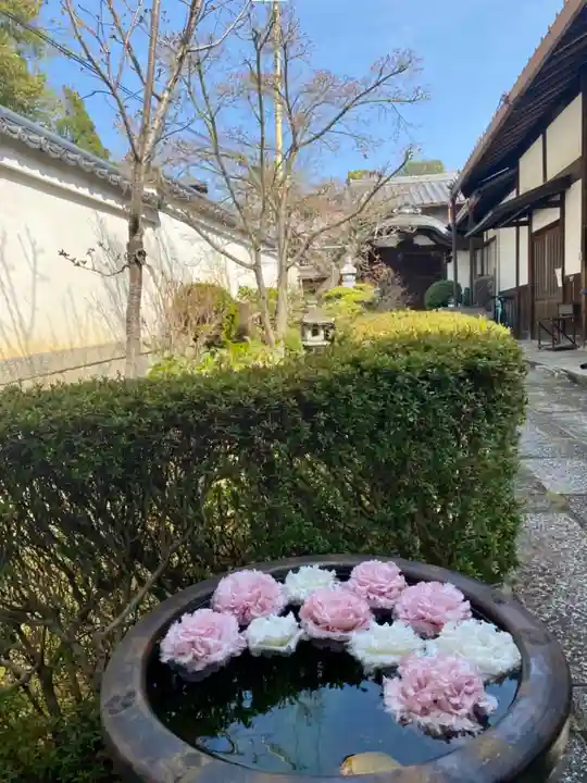 金光院の手水舎