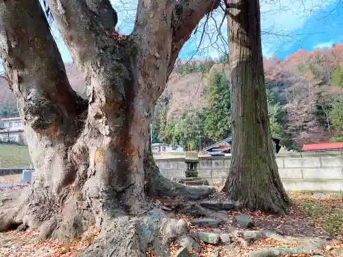 諏訪大社上社前宮の末社・摂社