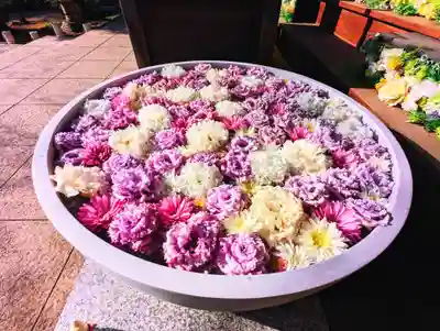 法輪寺の芸術