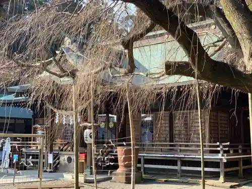 常陸第三宮　吉田神社の本殿・本堂