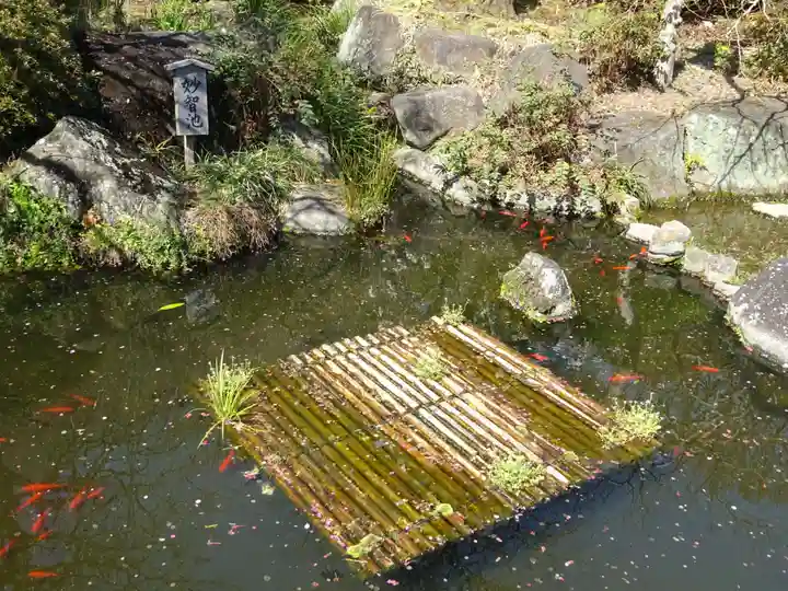 長谷寺(神奈川県)