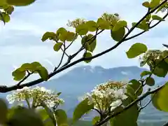 山家神社奥宮の自然