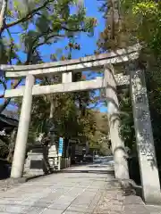 岡崎神社の鳥居