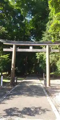 若狭彦神社（上社）の鳥居