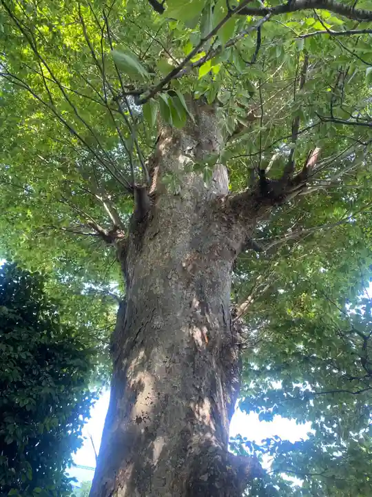 三島八幡神社(福島県)