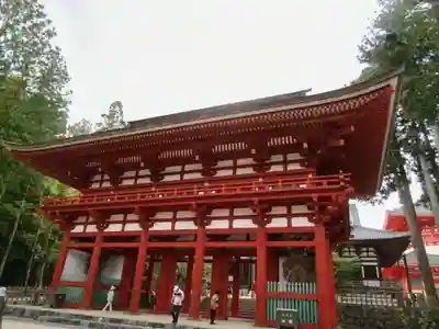 金剛峰寺大伽藍金堂(和歌山県)
